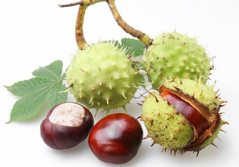 Gaztainondoen fruituak bitamina eta mikroelementu baliotsu ugaritan aberatsak dira, prostatarako onuragarriak direnak.
